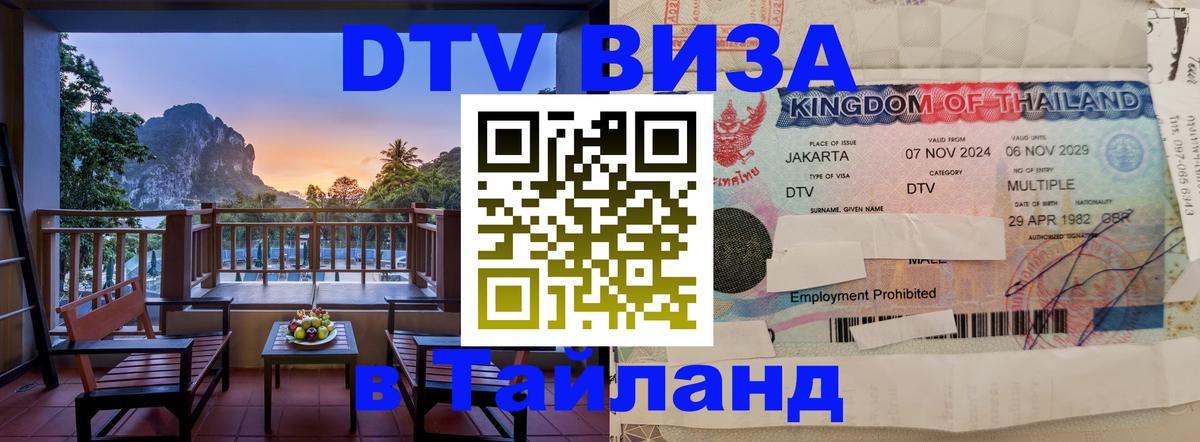 Оформление DTV визы под ключ: стоимость и тарифы, только загранпаспорт - София  04.12.2025 